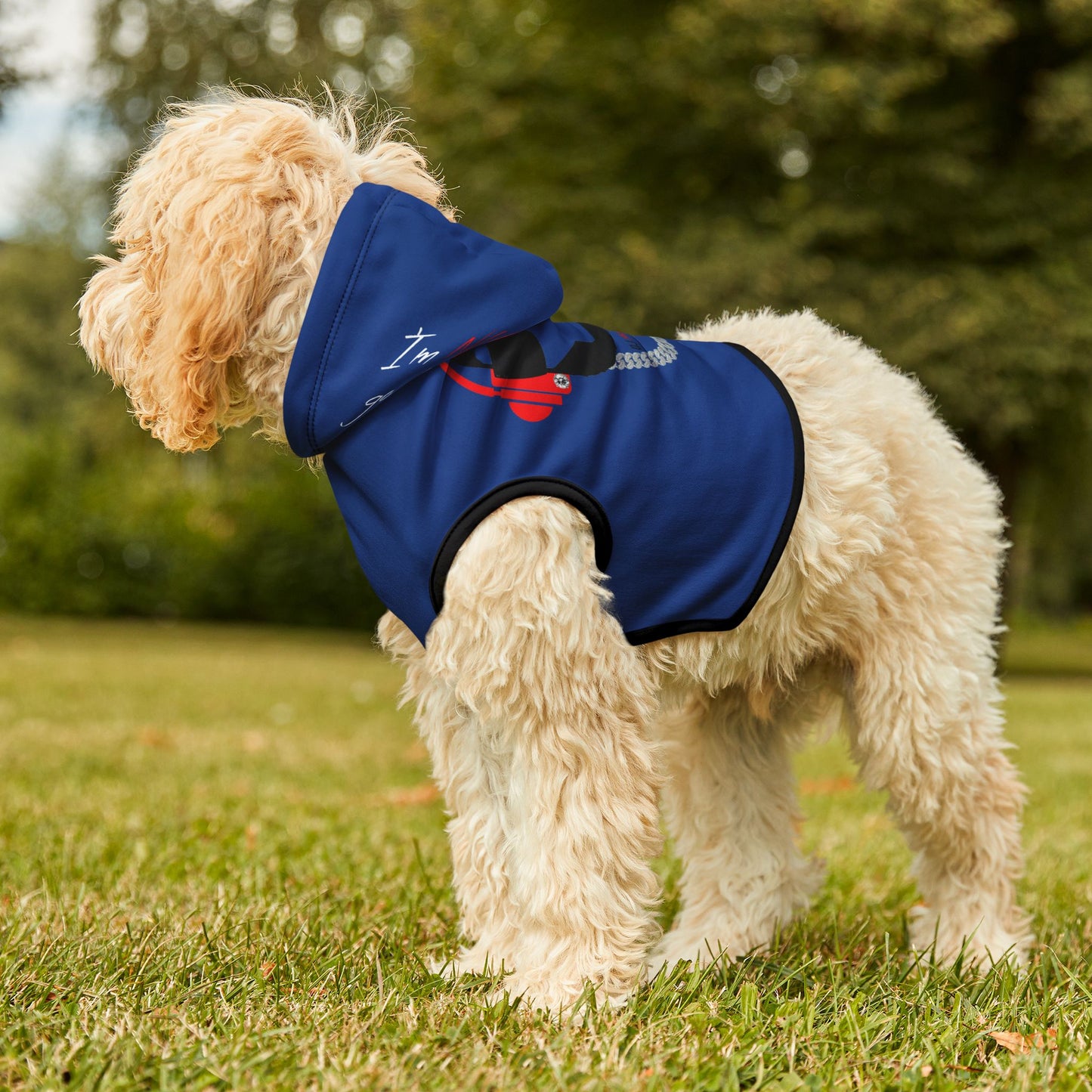 Pet Hoodie