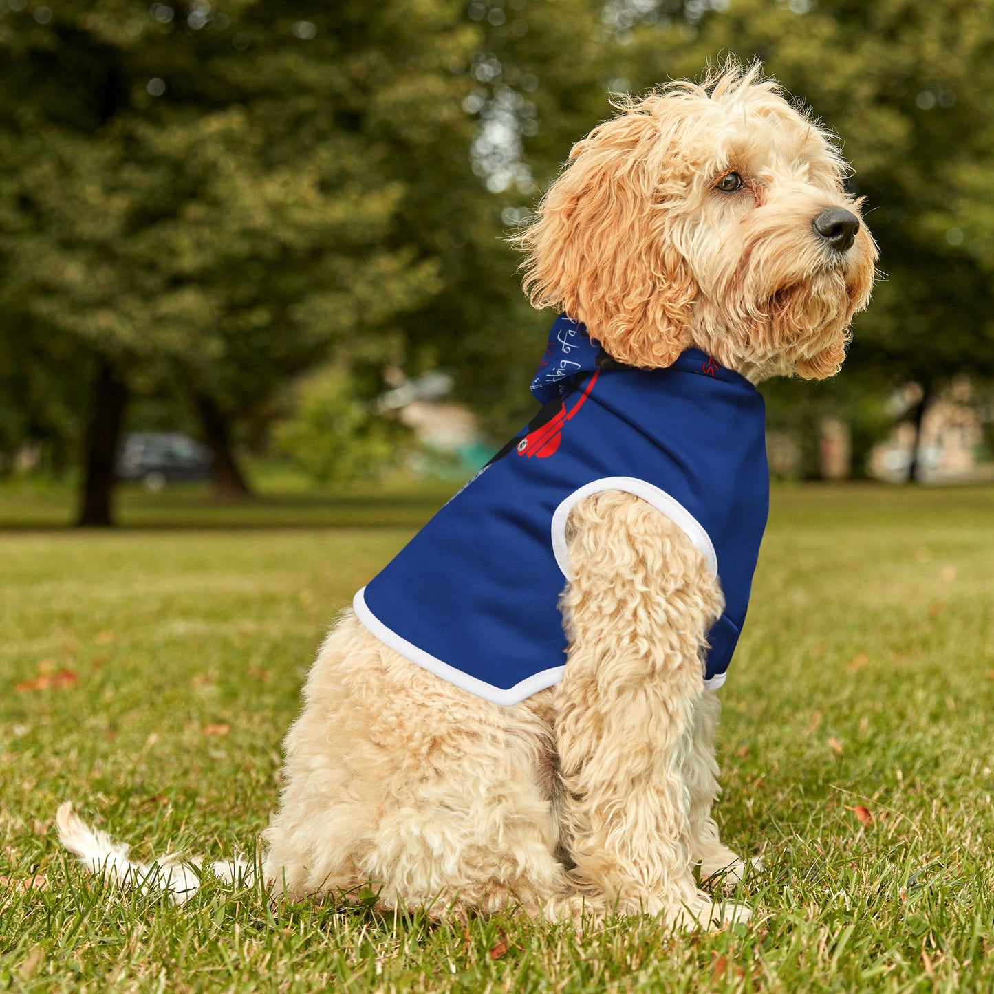 Pet Hoodie